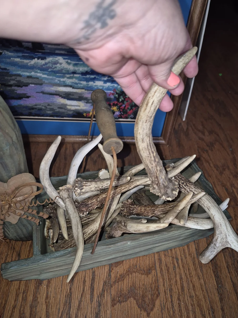 Whitetail Natural Deer Antler Chews. Lot Of 10. Various Sizes.